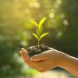 Día mundial del medioambiente 8