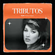 Tributos: lo mejor de Amy Winehouse en el CD Somontes