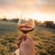 Cata de vino streaming con Javier Garijo y tres botellas incluidas