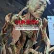 Our Body: El universo dentro