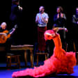 Flamenco Festival: Olga Pericet