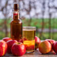 Excursion à Caen : Route du Cidre et dégustations