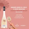 Madrid from the Sky & Rosé Sessions