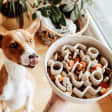 Paws and Clay - Hand-Building Ceramic Class for Pet Bowls