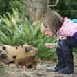 Skip the Line: Staglands Wildlife Reserve Entry Ticket