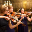 Vivaldi's Four Seasons: Live