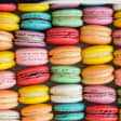 Classic French Macaron in Austin