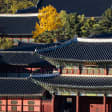 Photography Tour at Gyeongbokgung Palace