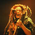 A Night of Reggae