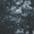 Nieve 2