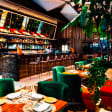 Ginkgo: domingos de concierto, gastronomía y cócteles