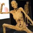 Human Bodies: ¡Entrada para grupos!