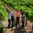 Redwoods and California Wine Country Tour