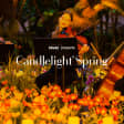 Candlelight Spring: The Best of Hans Zimmer