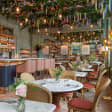 Wine Tasting Experience at Linnaean