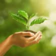 Día mundial del medioambiente 9