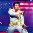 ELVIS: Story of a King - Admission Ticket