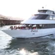 San Francisco Halloween Yacht Party