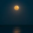 Florida Beach: cena de luna llena con guitarra española