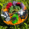Halloween Open Glass Terrarium Class