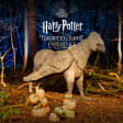 Harry Potter: A Forbidden Forest Experience