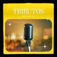 Tributos: O Melhor de Stevie Wonder no Monsantos Open Air