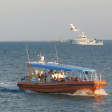 Discover Darwin Harbour 1 hour Darwin Harbour Cruise