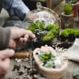 Build a Terrarium Workshop