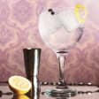 Morden Park House Ginsecco Festival