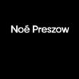 Noé Preszow en concert au Nouveau Casino