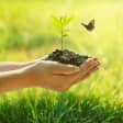 Día mundial del medioambiente 10