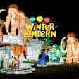 Winter Lantern Festival