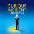 The Curious Incident of the Dog in the Night-time