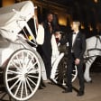 Holiday Horse & Carriage Ride in Central Park