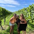 ﻿Excursión de un día completo a viñedos para catar vinos y comida en Long Island desde Nueva York