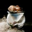 Rum Masterclass & Seafood Brunch