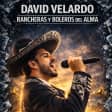 Rancheras and Boleros of the Soul Between Drinks and Sighs