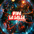 Viva La Salsa Party: The Best Latin Salsa Party