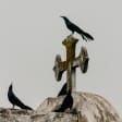 Haunted History Private Social Distancing Walking Tour – Financial District