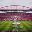 Glorioso SLB! Visita o Estádio e Museu do Benfica com cachecol