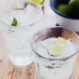 2 gin-tonics castizos en Malasaña