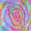 Sip and Paint Flowers in Georgia O'Keefe Style at the Pub