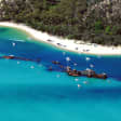 Tangalooma Dolphin Adventure with Brisbane Transfers