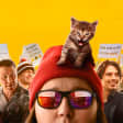 Dumb Money AMC Tickets - Boston