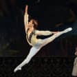 Grand Ballet Gala / Casse-Noisette / Lac des Cygnes Bruges