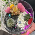 Valentine’s Day Crystal Terrarium Date Workshop