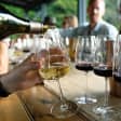 Experience Mendocino Wine and Redwoods 1-Day Tour