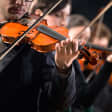 Vivaldi's Four Seasons & The Lark Ascending