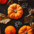 Prepárate para Halloween 8