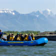 Scenic Wildlife Float in Jackson Hole